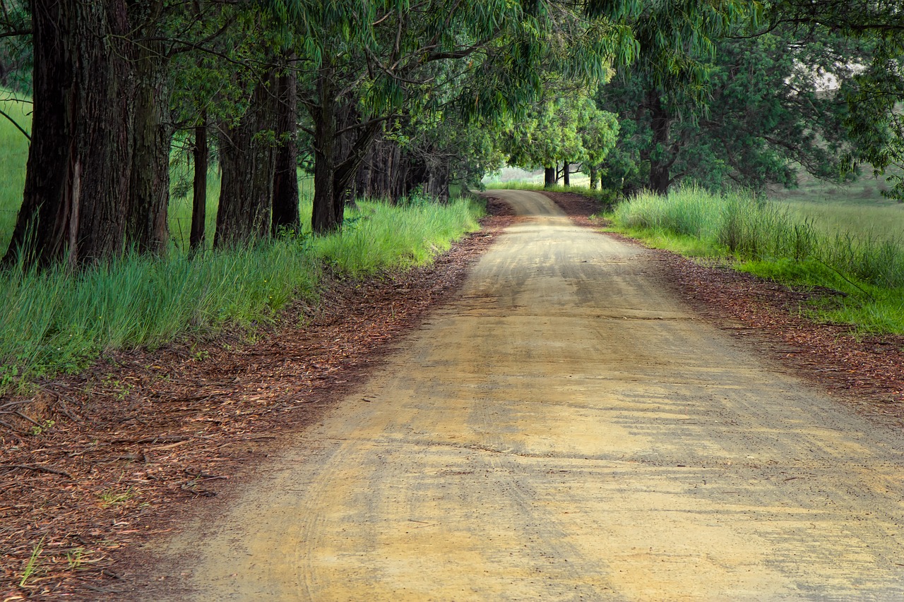 How To Prepare for A Past Life Regression Session